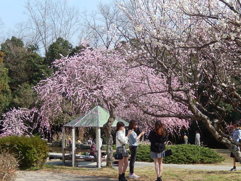 DSCN1419