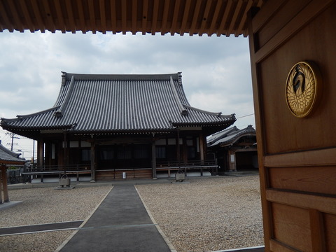 DSCN8615