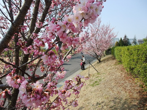 DSCF0008