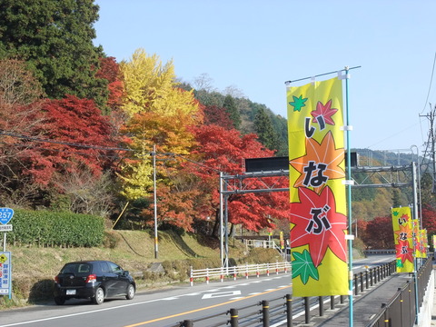 DSCF0313