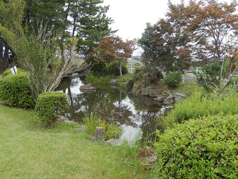 DSCN8969