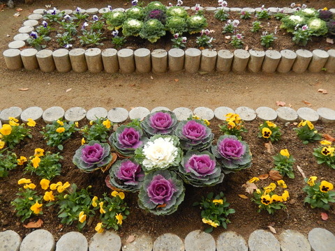DSCN8699