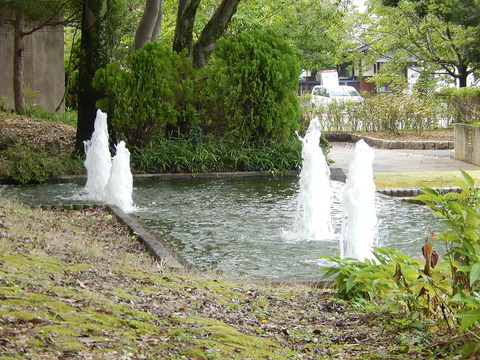 DSCN5775