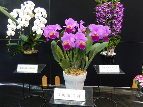DSCN0148