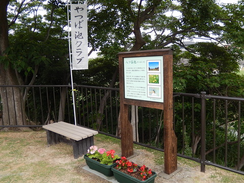 DSCN2667