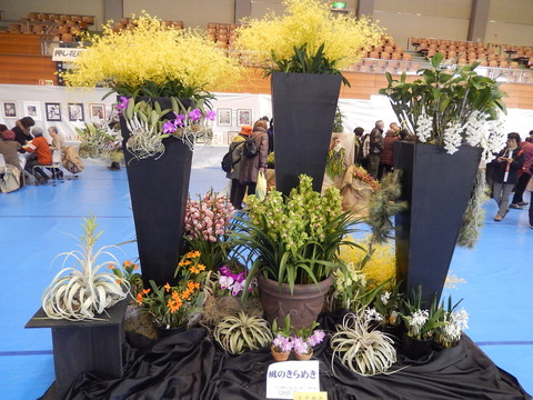 DSCN1646