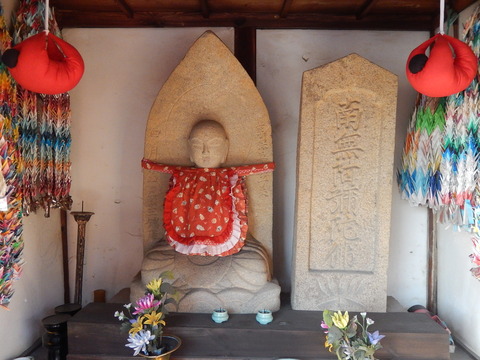 DSCN0224