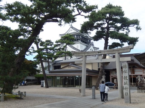 DSCN8379