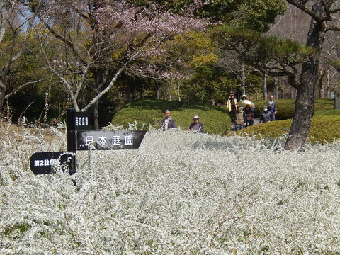 DSCN9863