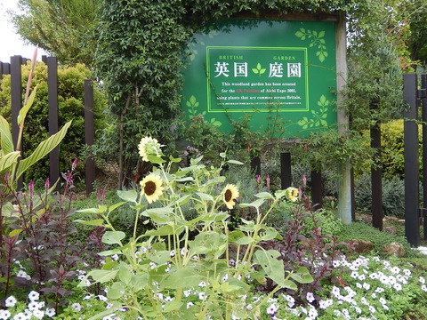 DSCN5431