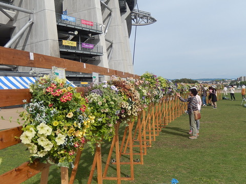 DSCN3062