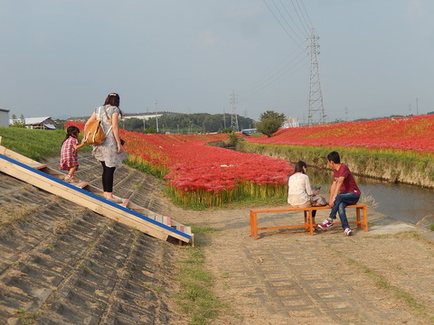DSCN6371