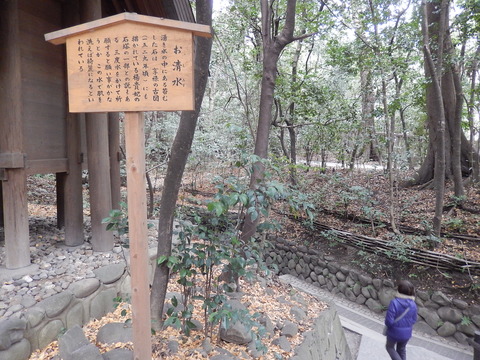 DSCN1902