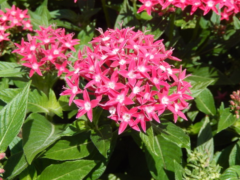 DSCN3869