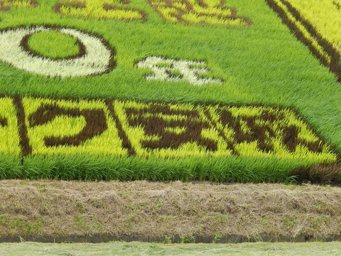 DSCN4024