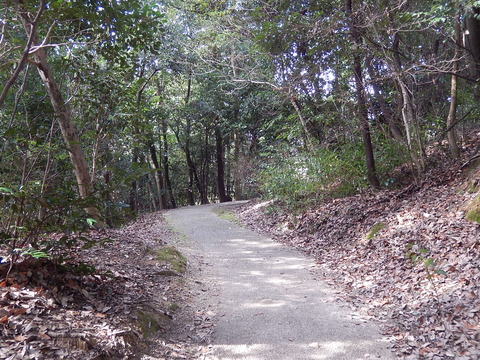 DSCN2099