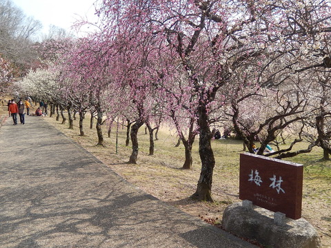 DSCN1460