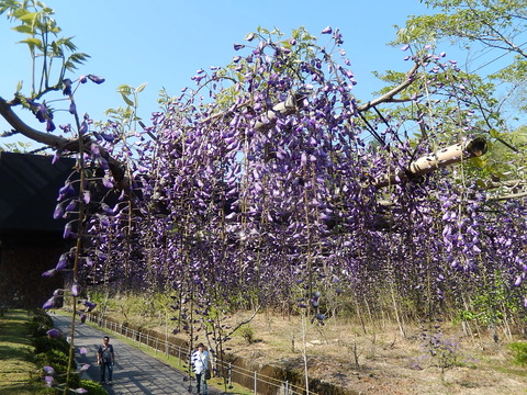 DSCN1192