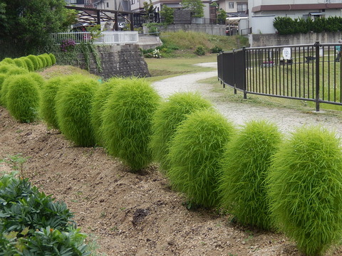 DSCN0178