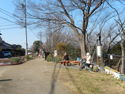 DSCN0462