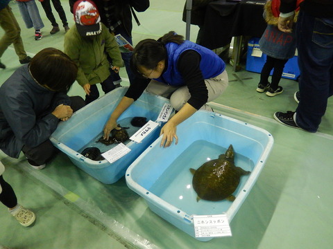 DSCN0883