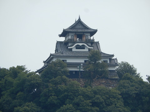 DSCN5406
