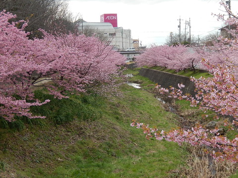 DSCN2328
