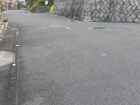 DSCN9357