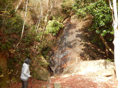 DSCN0484