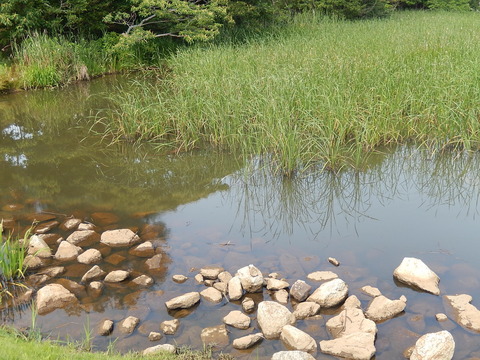 DSCN3372