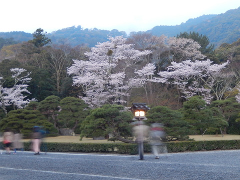 DSCN2207