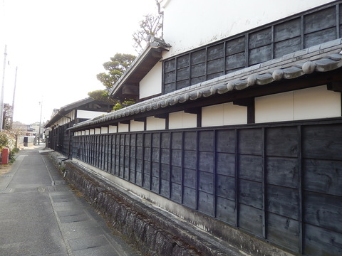 DSCN7369