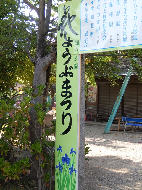 DSCN2594