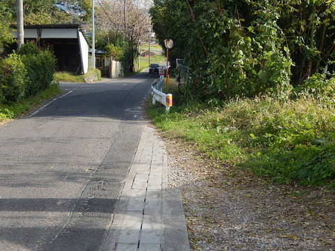 DSCN7503