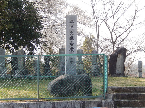 DSCN1870
