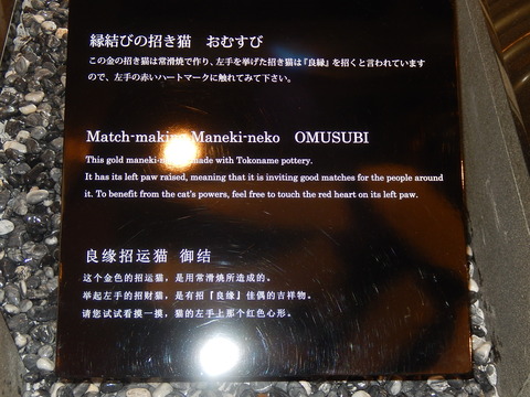 DSCN0548