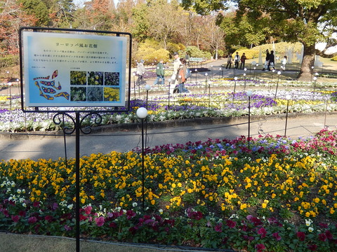 DSCN0294