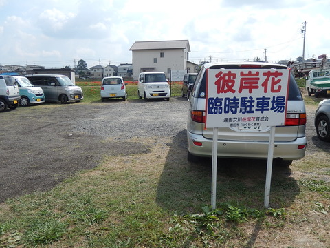 DSCN4324