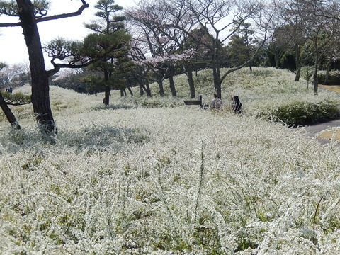 DSCN9842