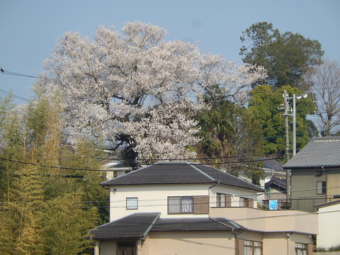 DSCN1878
