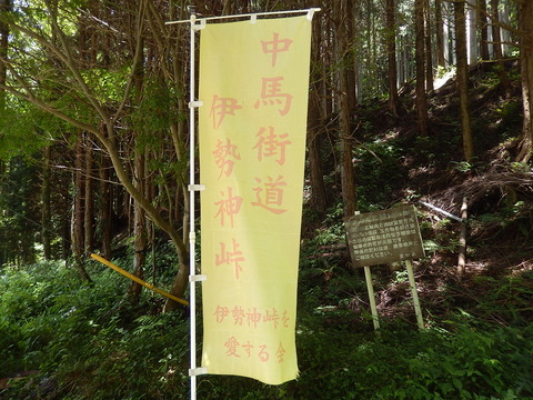 DSCN7568