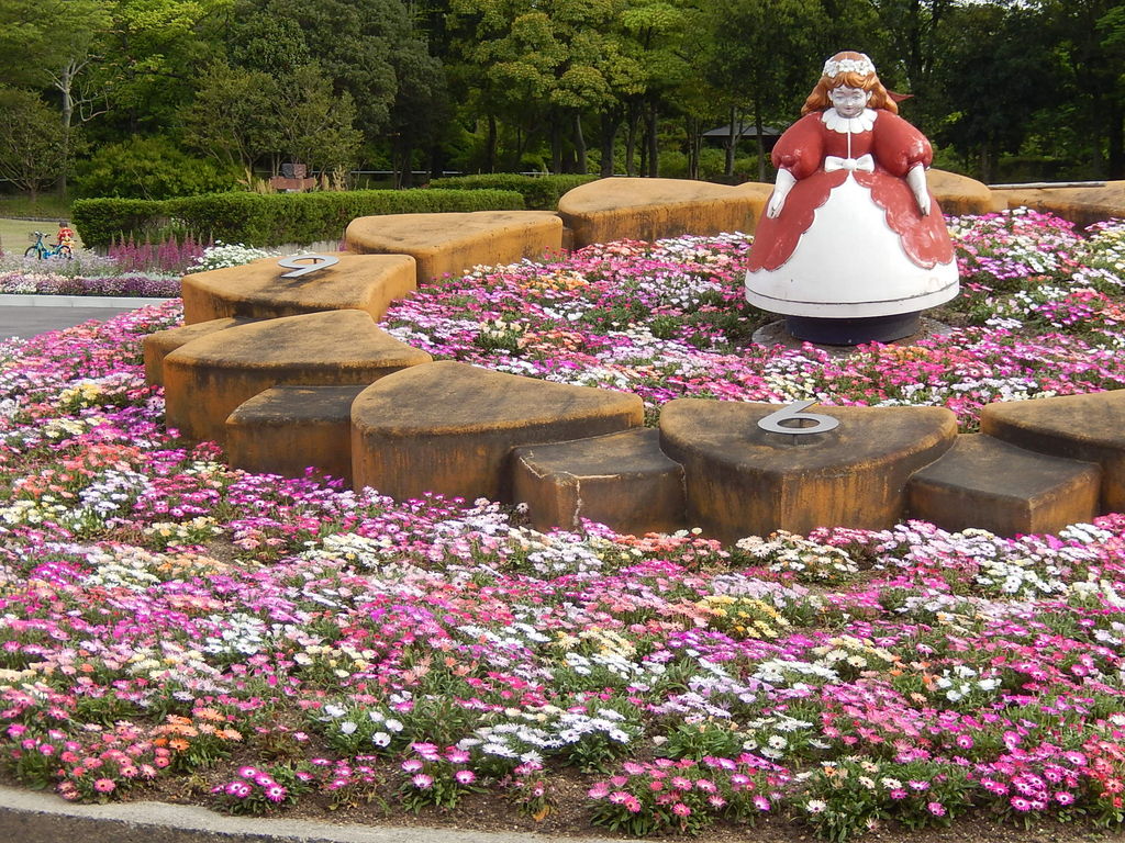 咲き誇る西山公園のリビングストンデージー19 5 11 やつば池散歩道 豊田市 のブログ