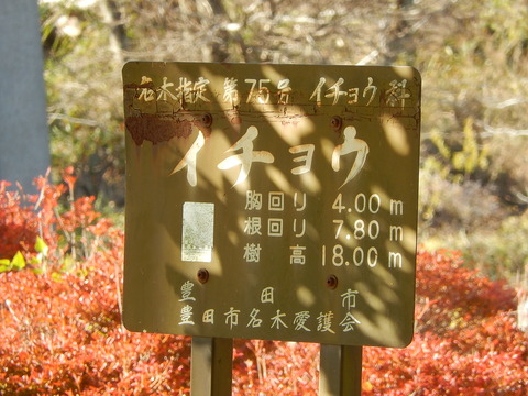DSCN8054