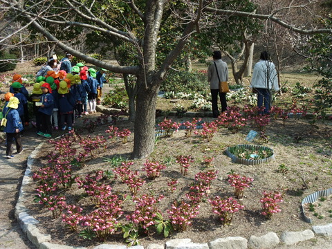 DSCF0052