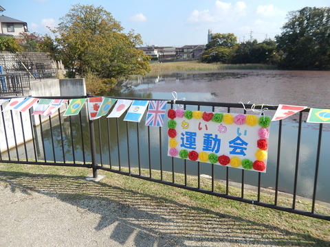 DSCN7187