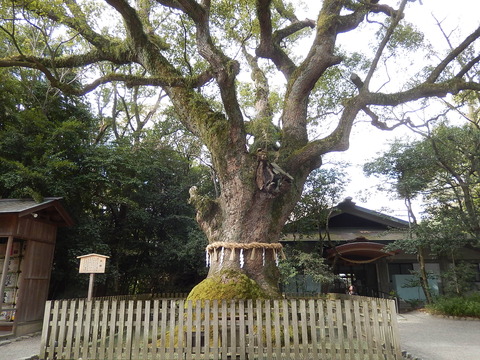 DSCN1872