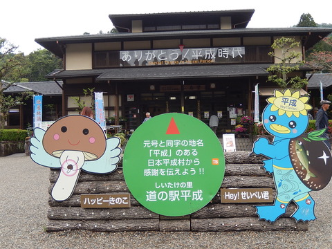 DSCN3335