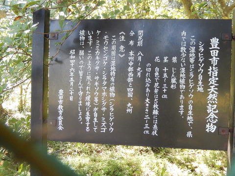 DSCN6036
