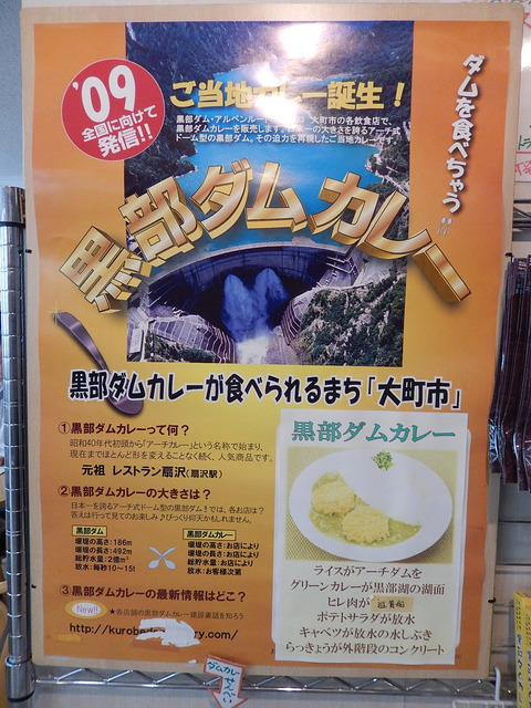 DSCN5101
