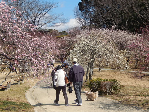 DSCN1674